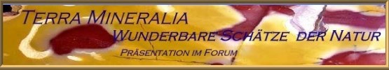 Freiberger Terra Mineralie Präsentation  auf Flurits Mineralienforum