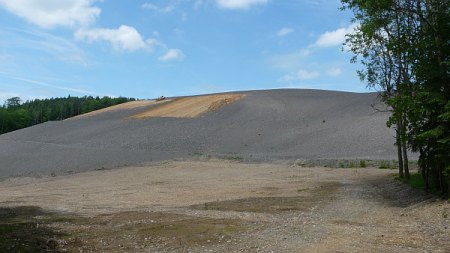 309.jpg
