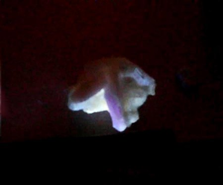 _UV-KW_Stilbit xx_Poonah_Maharashtra_Indien_Peter.jpg