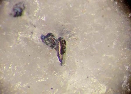 _Bonchevit xx_Pyrit in Quarz_BB 1 cm_Narechen_Rhodopen Gebirge_Asenovgrad_Plovdiv_Bulgarien_Peter_1.JPG