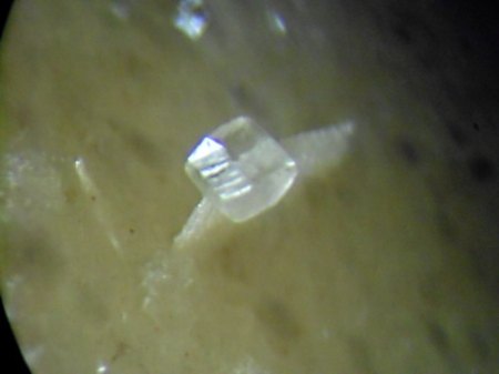 Calcit-Epitaxie WinklarnDSCN2424.JPG
