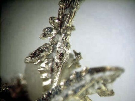 _Silber xx_MM_Mun. de Zacatecas_Zacatecas_Mexiko_Peter_1c.jpg