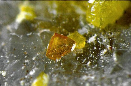 Stolzit x oder Wulfenit x_BB 4mm_Aufbereitung Kirnbach_Grube Clara_Oberwolfach_Kinzigtal_Schwarzwald_Eigenfund 0600_Kohorst.jpg
