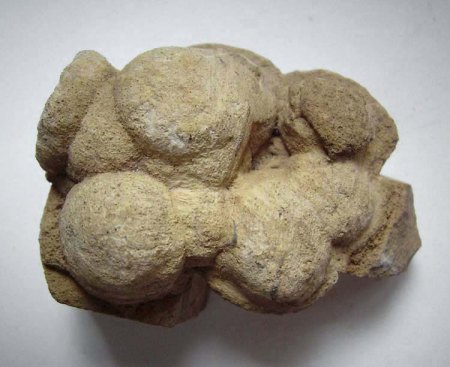 Pseudomorphose_Crandallit_Wavellit_Apricke_Iserlohn_Sauerland_Peter_1.jpg