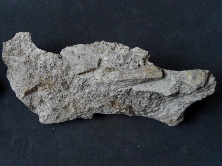 Sanidin DrachenfelsDSCN2854.JPG