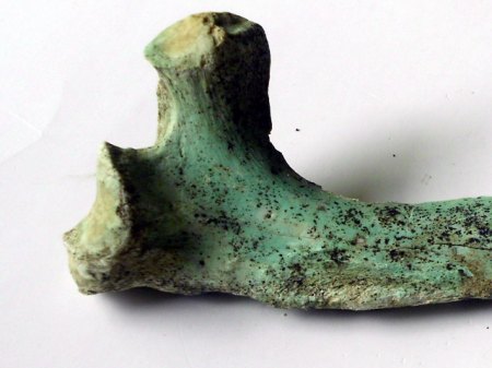 RSCN2842.jpg