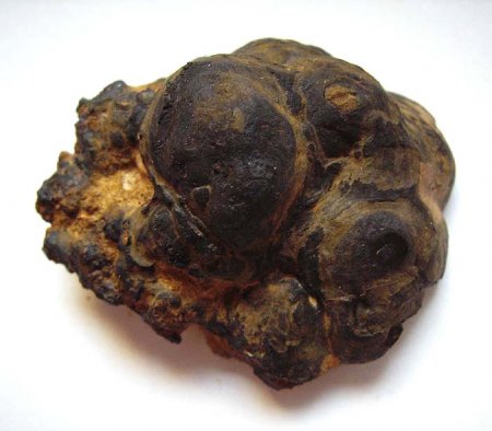 Psilomelan Manganerz_Normalstufe_NVN-Exkurs_Kalkbruch d. Fa. Buderus_Simberg_Hermannstein_Wetzlar_Hessen_Eigenfund 0908_Peter.jpg