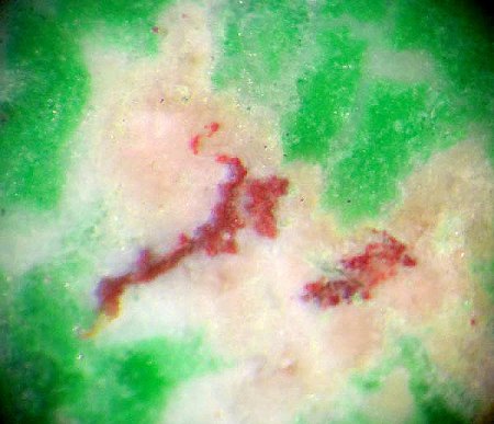 _Kosmochlor_Chrom-Jadeit u.a. in Maw Sit Sit_Ausschnitt aus KS_polierte Platte_Tawmaw_Burrma_Peter_1d.jpg