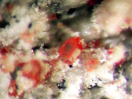 _Olivin xx wahrscheinl. Fayalit rot_MM_Bellerberg_Ettringen_Mayen_Eifel_Peter_1b.jpg