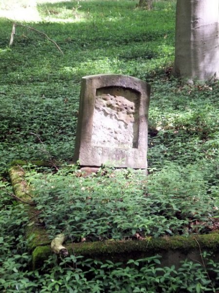 DSCF3285.jpg