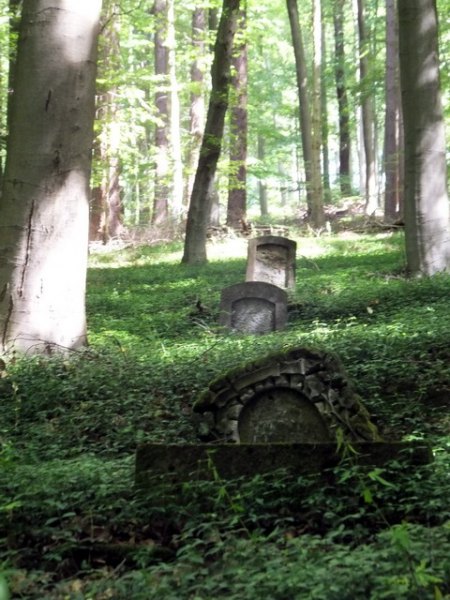 DSCF3281.jpg