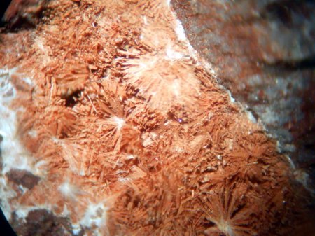 Wavellit FlötztalDSCN3152.JPG