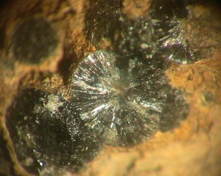 Striegisan (Langenstriegis).jpg