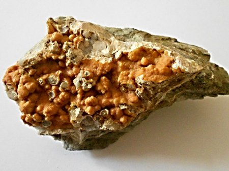 Chalcedon TröstauRSCN3560.JPG