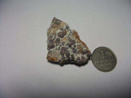 DSCF2450.JPG