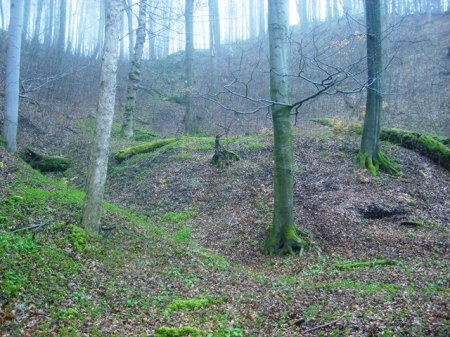 Halde der Grube St. Christoph, Raubschloß, Gräfenroda.jpg