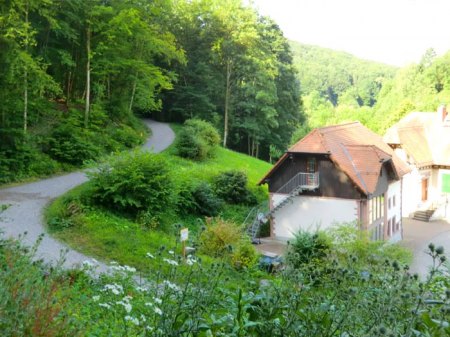 _2_Marmorit-Werk Auerbach-Hochstädten_Straße zu den Pingen_3.7.14_Peter.JPG