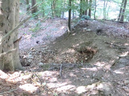 _14a_Marmorit-Werk Auerbach-Hochstädten_Grabungsstelle Pinge_3.7.14_Peter.JPG