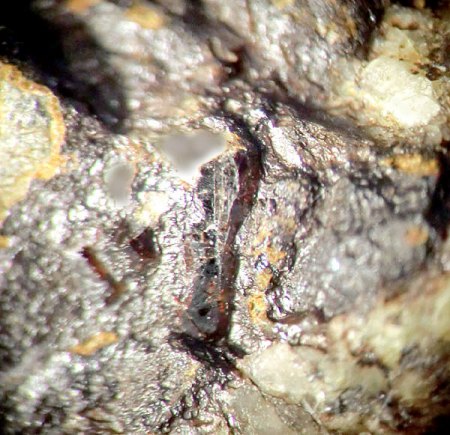 _Diopsid x_Exkurs 3.7.14_Pinge ehem. Marmoritwerk_Hochstädten_Bensheim-Auerbach_Odenwald_Hessen_Peter_2.JPG