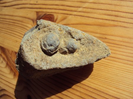 Basalt mit Knubbel 001.JPG