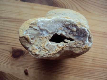 Fossielienfunde Coburg &amp; Umgebung 003.JPG