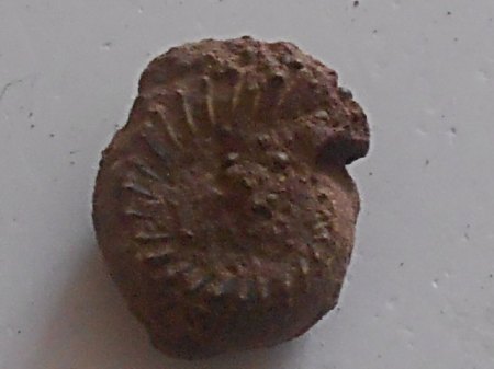 RSCN4992.jpg