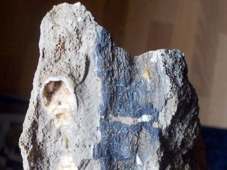 Fossiles Holz SengenthalRSCN5069.JPG