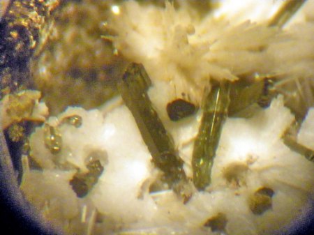 Skolezit,Diopsid SteinbergIMGP4883.jpg