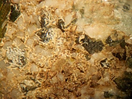 Tremolit auf Albit und Andradit AcherwieseDSCN5149.JPG