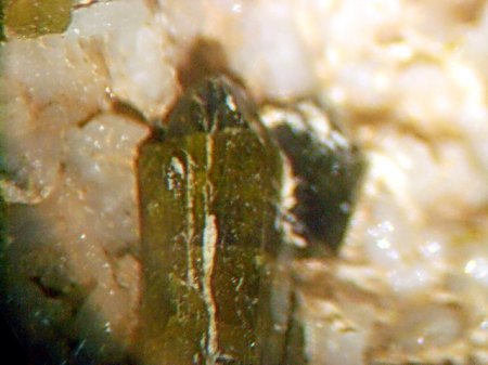 Epidot AcherwieseDSCN5141.JPG