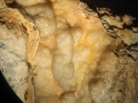 Opal AcherwieseDSCN5206.JPG