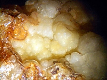 Opal AcherwieseDSCN5185.JPG