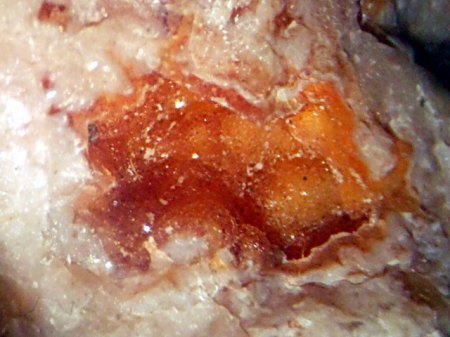 Chalcedon AcherwieseRSCN5216.JPG