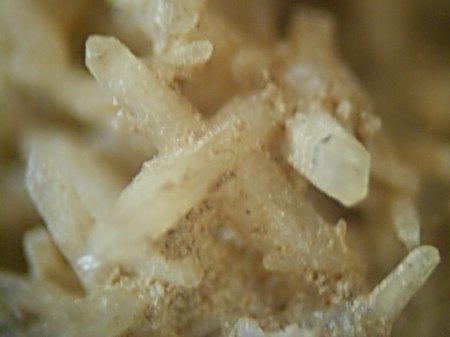 Quarz_Japaner Zwilling AcherwieseDSCN5168.JPG
