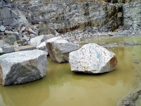 DSCN5406.jpg
