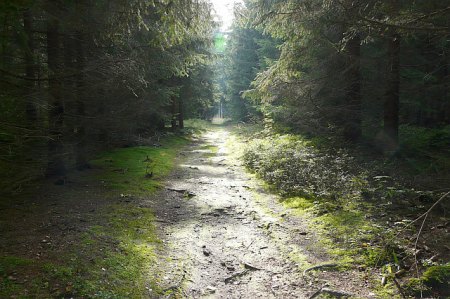 geister1.jpg