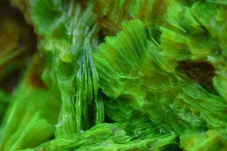 Uranocircite.jpg