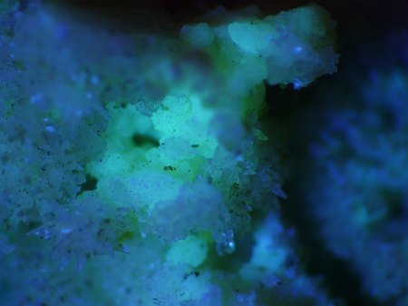 novacekite_in_gypsum_matrix_uv_fluorescence.jpg