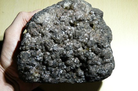 stein1.jpg