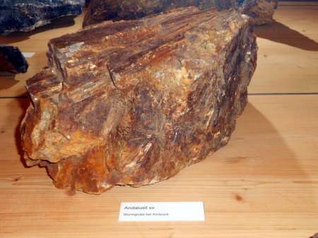 DSCN6447.jpg