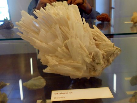 RSCN6596.jpg