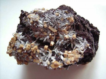 Bultfonteinit_Poldervaartit_Wessels Mine_Südafrika_Peter.jpg