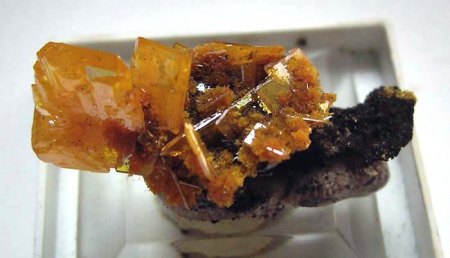 _Wulfenit xx_Mimetesit xx_Kleinstufe_San Francisco Mine_Sonora _Mexiko_Peter.jpg