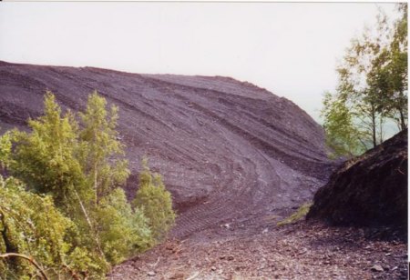 Abtragung der Kegelhalde Reust.jpg