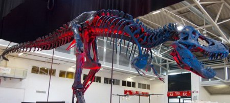T-Rex King Kong (1).jpg