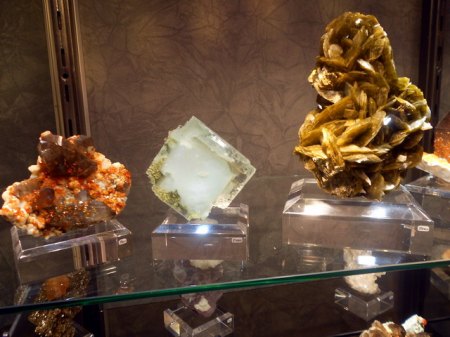 Vitrine im Pavillon (1).JPG