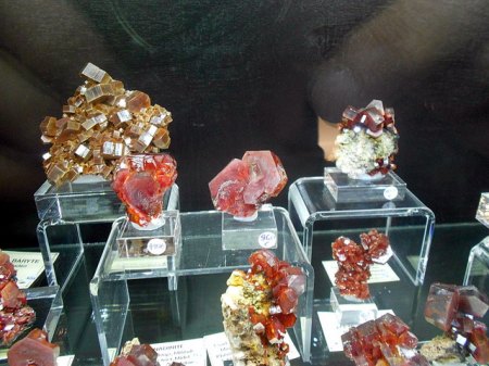 Vitrine im Pavillon (2).JPG