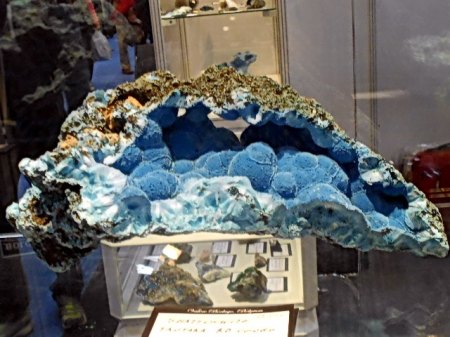 Shattuckit Tantara,Kongo (1).JPG