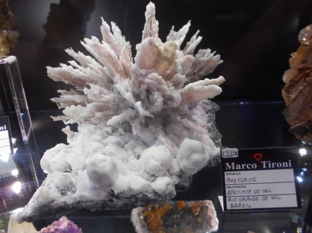 DSCN7120.jpg