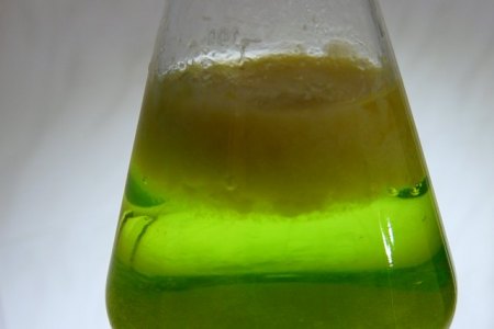faellen_mit_nh3-loesung.jpg